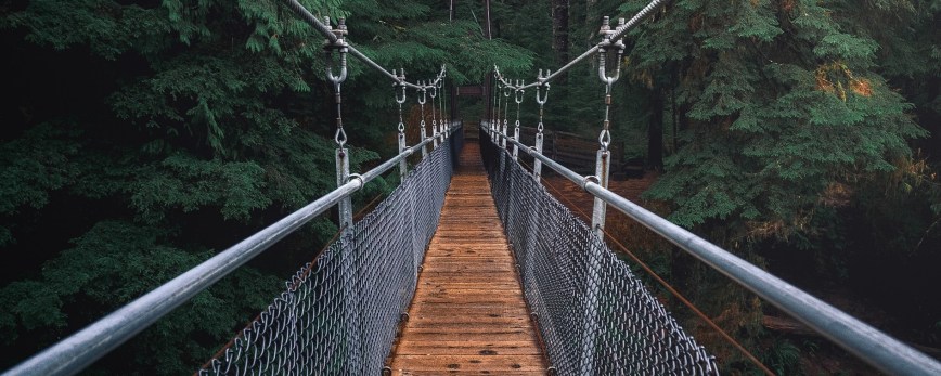 Absorção Ágil: sobre empresas que sobrevivem à crises